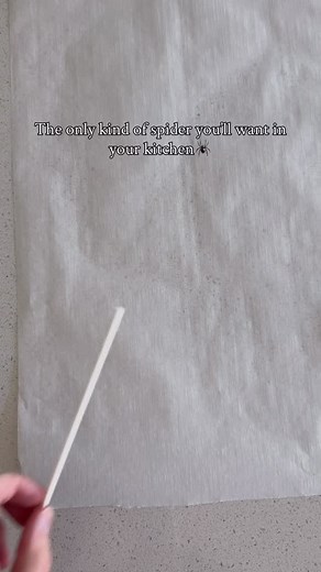 The only kind of spider you’ll ever want in your kitchen.🕷✨ These Oreo spider webs look like a showstopper but come together in minutes with just Oreos, white chocolate, and candy eyes. Perfect for a Halloween party tray or just a spooky treat night at home. 🕸🍫👻 #spookyseason #halloweentreats #diyhalloween #spookysnacks #halloweendesserts #easyhalloweentreats | Rachel Anderson