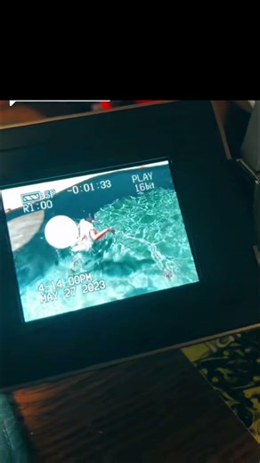 Transfer Old Tapes To Digital