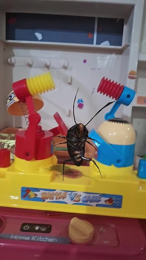 Dancing Cockroach Dance Moves on TikTok