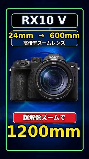 The Amazing 50x Zoom on the RX10 V Is Incredible!! 24mm to 1200mm in One Camera!