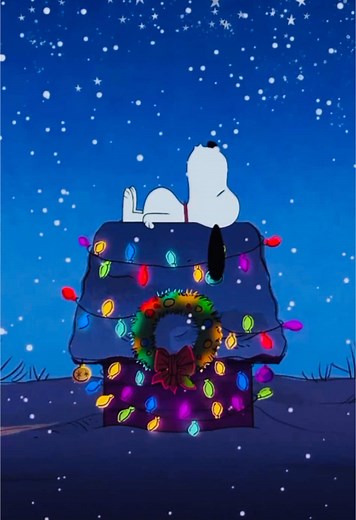 (●)´｀•） on TikTok