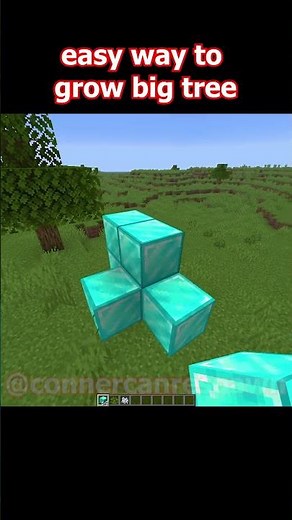 smash the subscribe button 👀 #minecraft