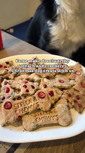 8.2K views · 224 reactions | "’Tis the season for treatin! So I...