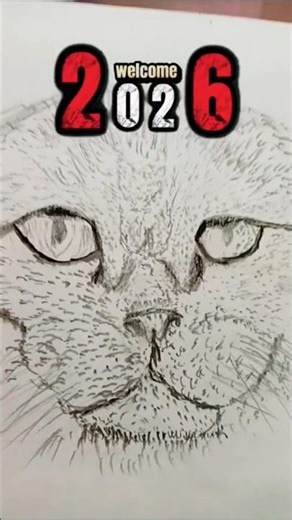 Cat Eyes # cat sketch animal drawing