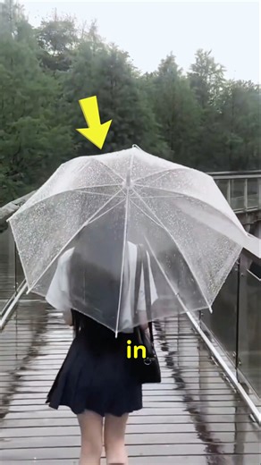 why umbrellas are naver safe in japan