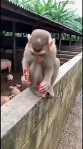 Me sa new year😈 | Clyde June Vertucio