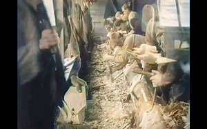 1900年荷兰工匠们在用传统工艺制作木鞋（Clogs) 的过程 （珍贵历史影像）