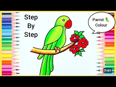 Parrot Drawing Colour || Parrot Drawing Step by Step || How to Draw Parrot