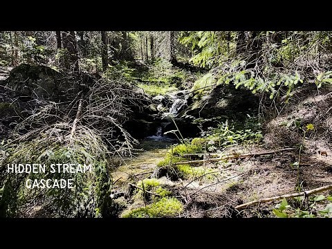 Soft Cascading Water from a Small Stream💧Deep Relaxation Sounds | Water Secret
