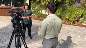 Series of alligator attacks in Florida reminder that 'they're around us all the time'