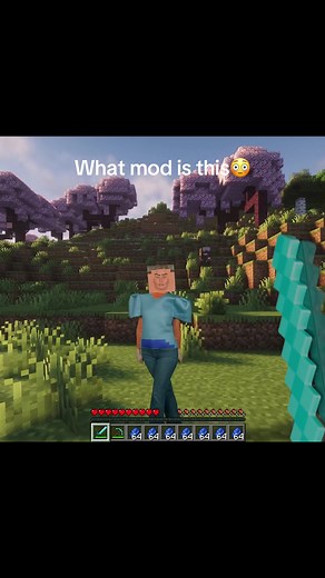 CAN YOU BELIEVE THIS IS FROM AN ASMR VIDEO !? 👁️👄👁️ #minecraft #asmr