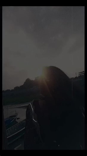 ~𐙚𝐑ᴀғᴀᶠ-🪔✨ (@alien_er_wife)’s videos with original sound - ~𐙚𝐑ᴀғᴀᶠ-🪔✨