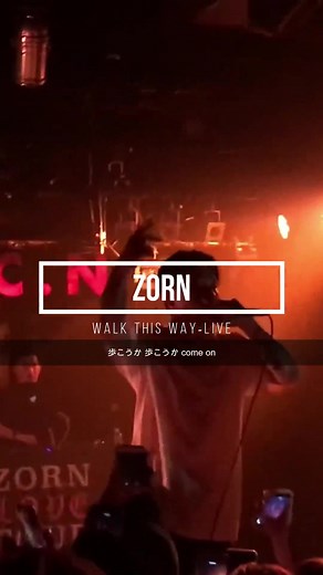 ZORN - Walk This Way (Live)