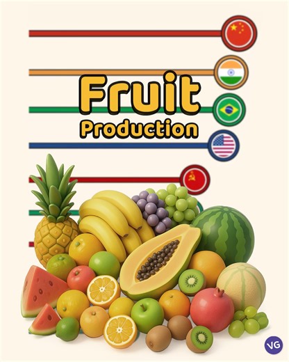 The Largest Fruit Producers in the World. | VGraphs
