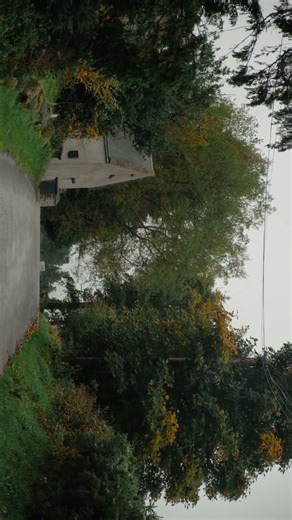 Shooting with the Fuji X-H2 for the First Time