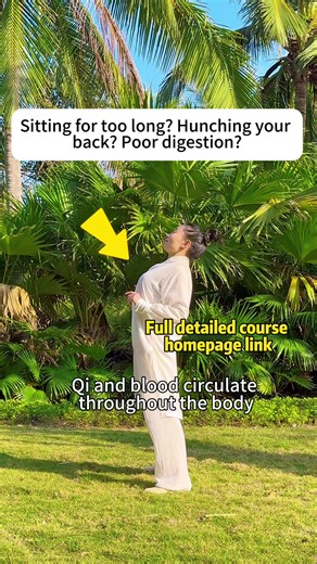 Belly fat, poor circulation — feel the difference fast.#circulation #health #balance #stretching #exercise