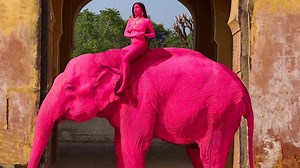 Who Was Chanchal? All About Jaipur's Viral 'Pink Elephant' Who Died At 70