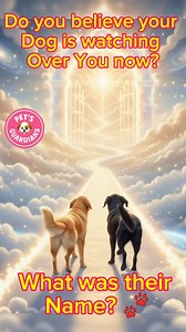 Do you believe your dog is watching over you now? 💖 What was their name? 🐾🐕💖 #dog #PetLover #puppylove #doglover #petlovers #rainbowbridge #petloss #pestsguardians | Pet's Guardians