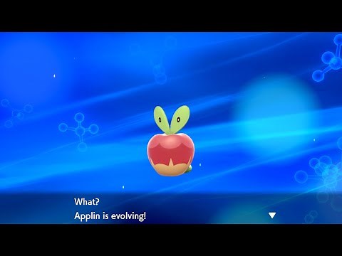 How to Evolve Applin into Flapple or Appletun - Pokémon Sword & Shield