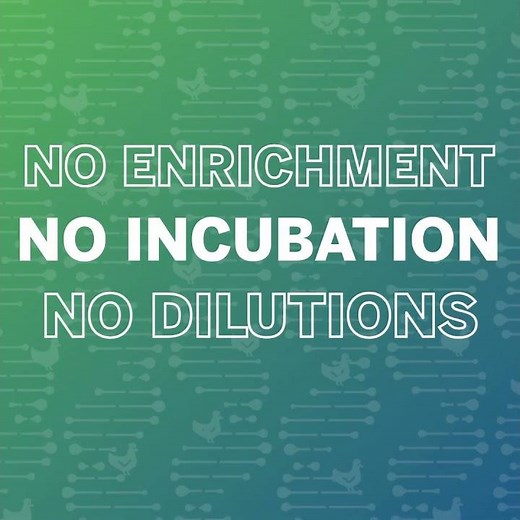 GENE-UP® QUANT Salmonella - True Quantification