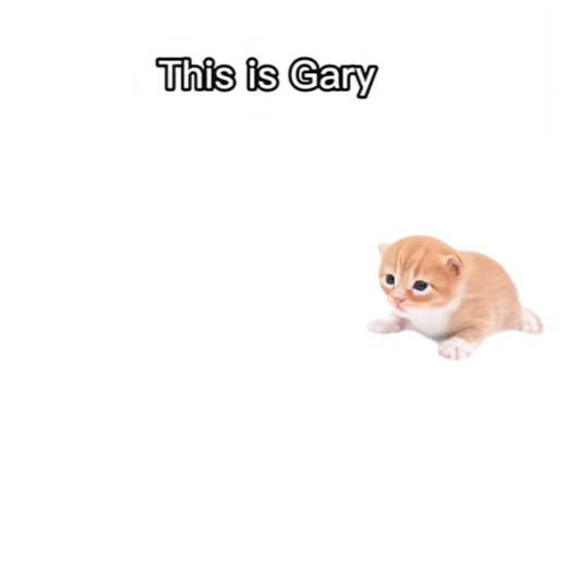 #t2 #t800 #t1000 #terminator #terminator2