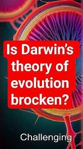 Is Darwin’s Theory BROKEN? Scientists Say Life Is a Masterpiece of Engineering.