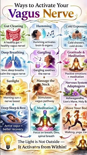 Ways to Activate Your Vagus Nerve