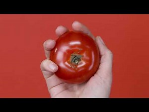 Upgrade FreshTomato Firmware in Minutes! Simple Steps for a Seamless Update