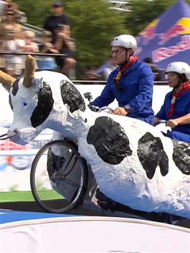 this is probably as far as a real cow would make it too 🐄 #redbull #givesyouwiiings #energydrink #redbullstalenros