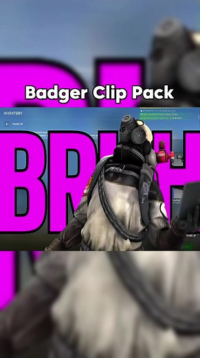Funny Badger Clips Compilation from The Russian Badger