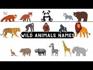 🐘 animals for kids 🦍 | wild animals names | animal vocabulary with pictures | list of wild animals