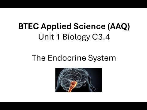 BTEC Applied Science AAQ: Unit 1 Biology: The Endocrine System