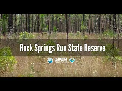Firsthand Florida Fun: Rock Springs Run State Reserve