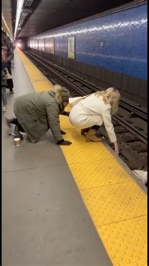 The beggar went to save the dog, but something went wrong.