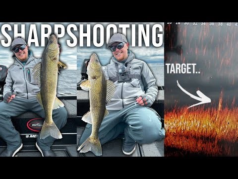 Sharpshooting SHALLOW Spring Walleyes with Garmin Livescope!!
