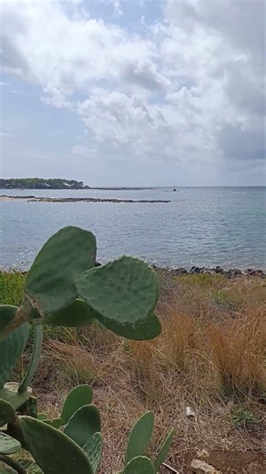 cfare pamje qe te sjelle qetesi 🤎🤎🪷 #albania #albaniatravel #malta #nature