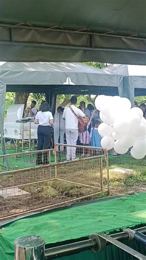 Dennis Andres on Reels