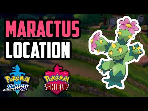 How to Catch Maractus - Pokemon Sword & Shield