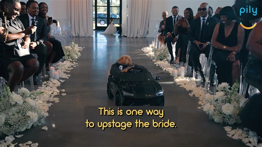 Bride and groom's dog steals the show when he comes down aisle in car as ring bearer | Happily TV