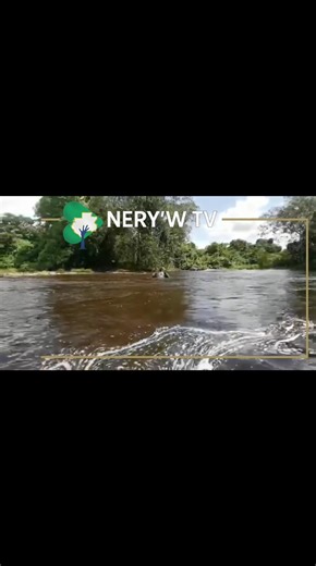 An elephant 🐘🌳 swimming at the Kongou Falls in Ivindo National Park.❤️🇬🇦 | Nery'w TV