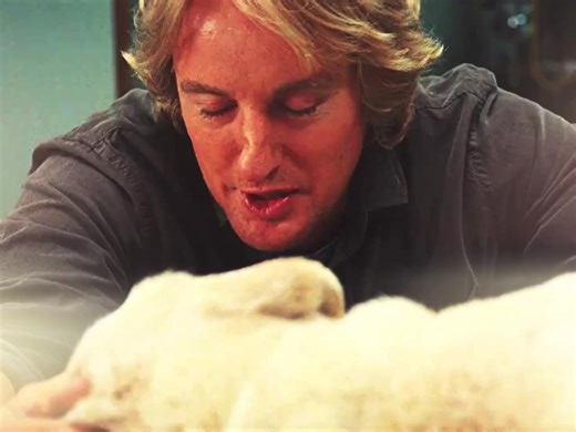 The Heartfelt Journey of 'Marley and Me'
