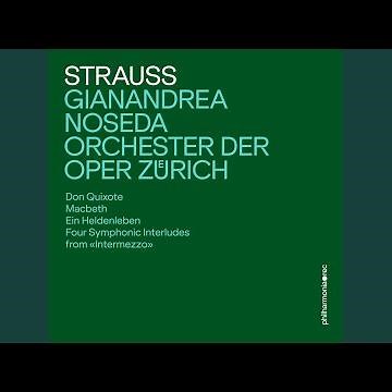 Don Quixote, Op. 35: III. Maggiore (Sancho Panza)