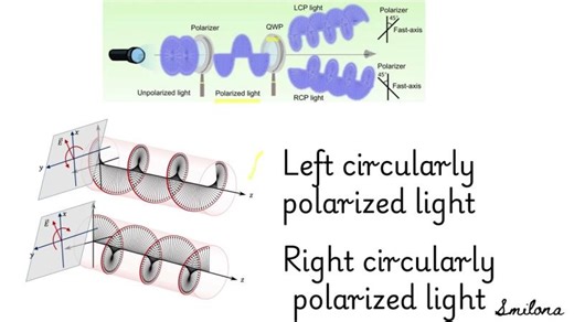 What is Circular Dichroism? - explained in less than 10 min | Shmilona Jain