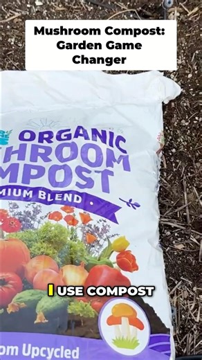 The BEST Bagged Compost for Your Garden Revealed! 🏆