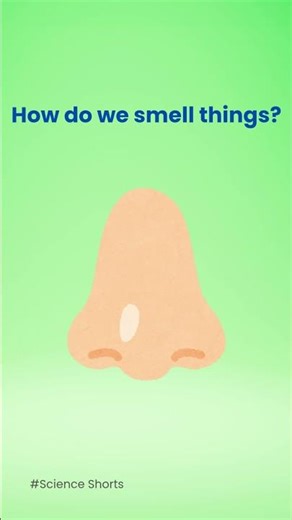 How Do We Smell? 👃 #shortsDescription:Our nose detects smell particles.#science