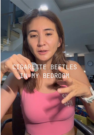Cigarette Beetles: Unseen Pests in My Bedroom