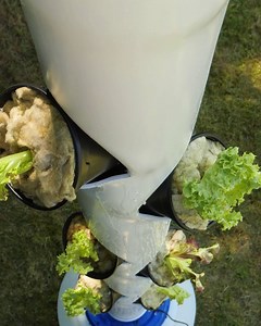 Incredible DIY Vertical Garden! | DeMilked