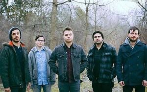 Introducing: American Wolf