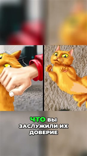 Кошки катаются по полу: Признак доверия и игр #shorts