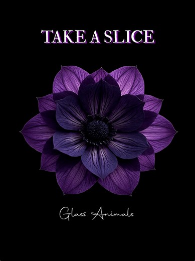 Explore Engaging Lyrics from Popular Songs